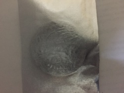 Identify-These-Three-Coins-Please